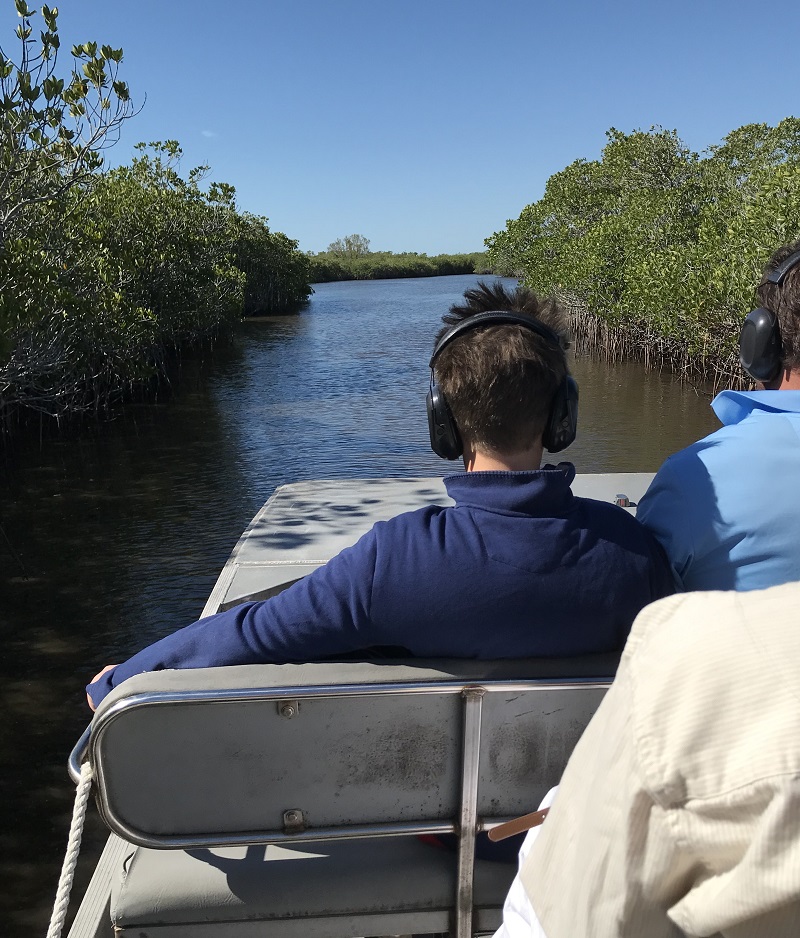 image of the view from an air boat in the Florida Everglades